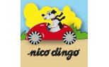 Nico dingo